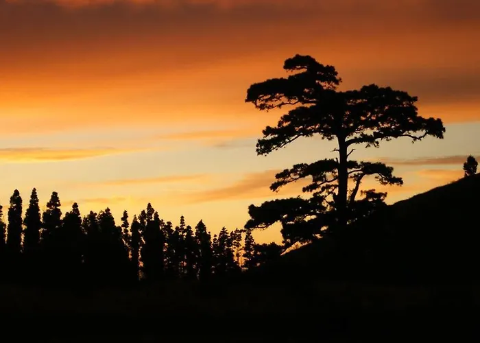 Gospodarstwo wiejskie Caserio Partidos