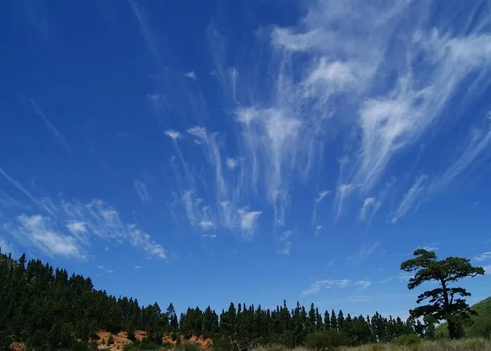 Kır Evi Caserio Partidos